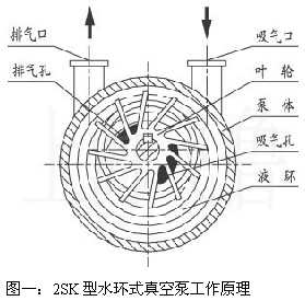 2SK型水環式真空泵工作原理